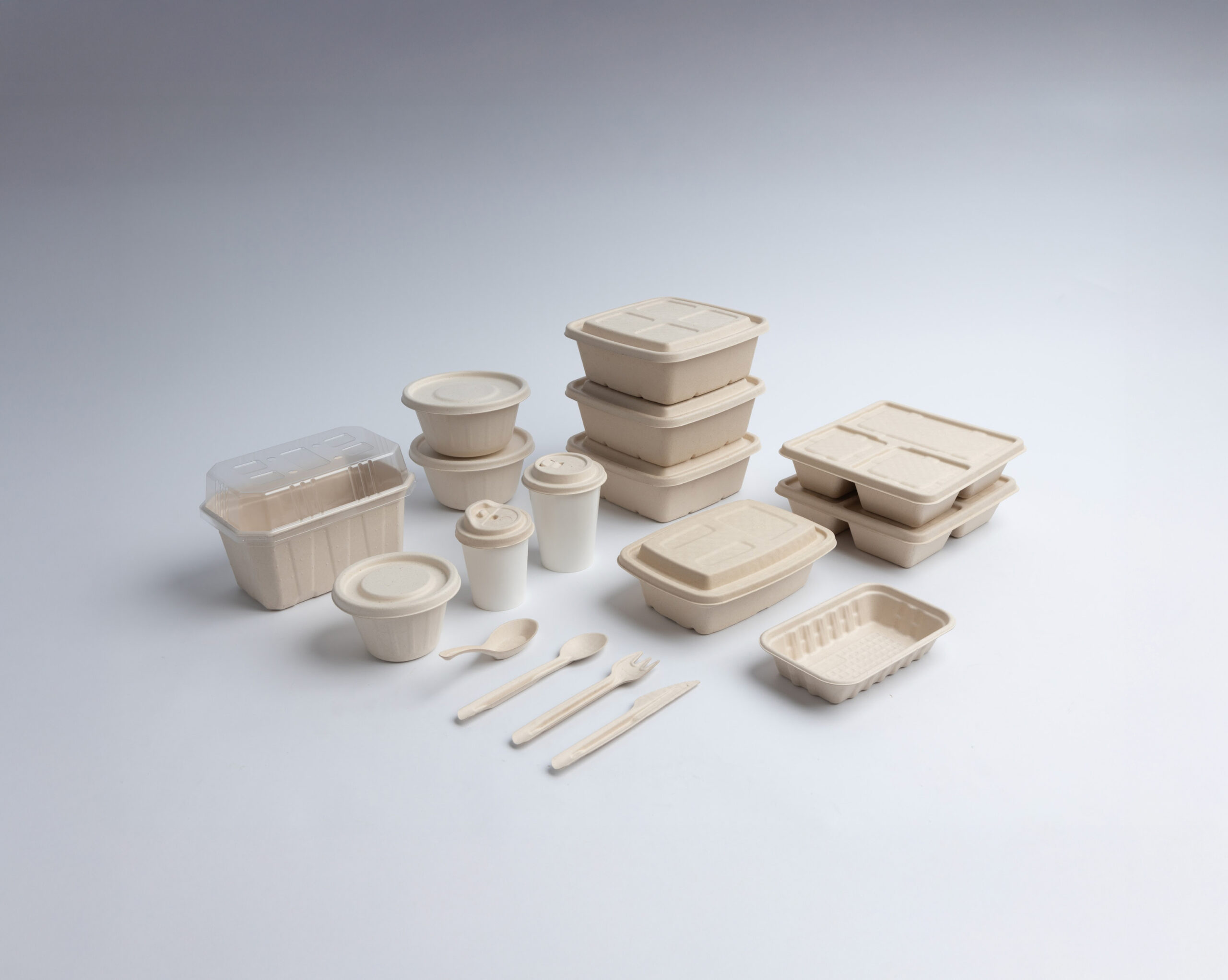 <b>Explore Our Range of Selection</b>